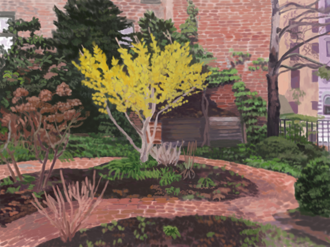 Witch Hazel at 6BC, spring 2011 by Lauren Edmond