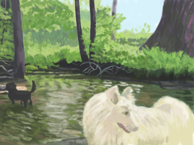 Ivory and Sparky streaming by Lauren Edmond