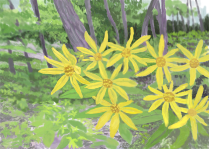 Yellow Flowers, summer 2009