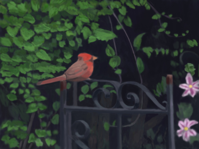 Cardinal at La Plaza by Lauren Edmond