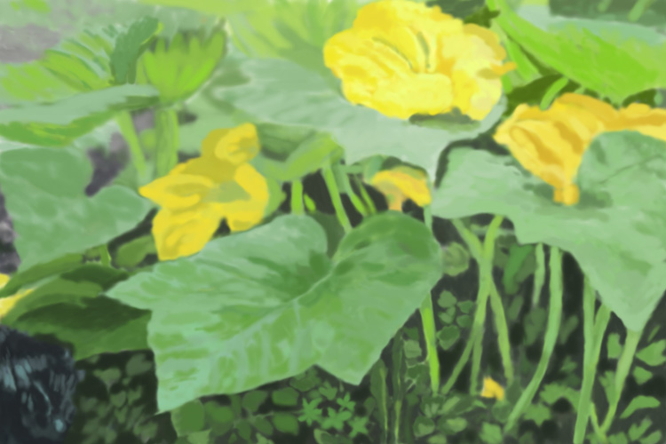 Ivory and Sparky streaming by Lauren Edmond