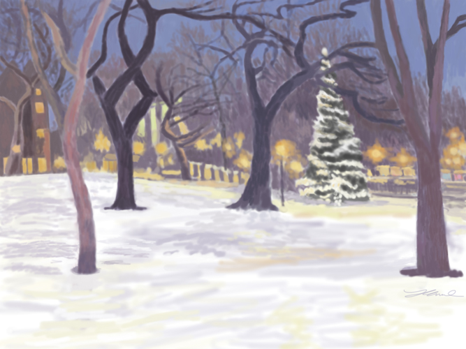 Tompkins Square Xmas Tree and snow by Lauren Edmond