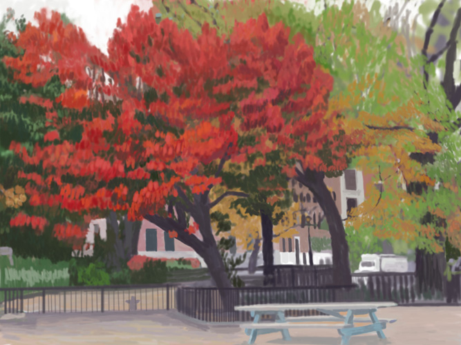 Red tree at Tompkins Square, fall 2010 by Lauren Edmond