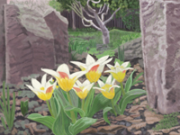 6BC Flowerhenge spring 2011