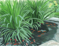 Koi pond at La Plaza