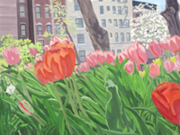 Early tulips @ Tompkins Square spring 2012